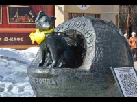 Традиционный открытый урок у памятника собаке-космонавт 